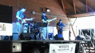 Ted Tyson Band. - To Each His Own by Dave Beal 369 views 8 years ago 4 minutes, 5 seconds