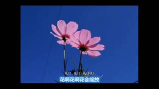 Video thumbnail of "花は咲く (Hana wa saku) (花会绽放 - 中日文字幕)"