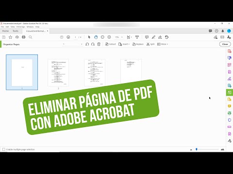 Video: ¿Puedes borrar en Adobe Acrobat Pro?