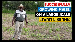 Maize Farming in Zambia: How We Established a Maize Crop at our New Farm by Mondo Farms 54,433 views 1 year ago 39 minutes