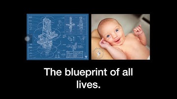 BIOMOLECULES SONG (It