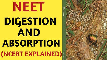 Digestion And Absorption/Class 11/NCERT/Chapter 16/Quick Revision Series/NEET/By Beats For Biology