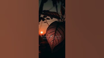 القارئ ياسر الدوسري ــ يا أيها الناس ضرب مثل فاستمعوا له☘️ سورة الحج☘️ القارئ ياسر الدوسري 🎧