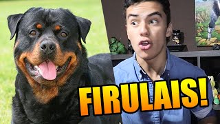 Que Le Pasa A Firulais Video Cover By Mawi De Missasinfonia