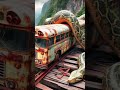 Travel Exploring Python Vs Bus Amazon Jungle Shorts Wow Nature Travel Exploring Python Vs Bus Amazon Jungle Shorts Wow Nature