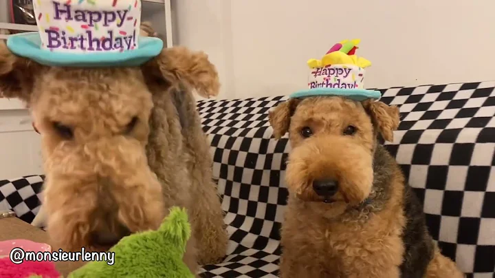 Sharing treats(Martins birthday)
