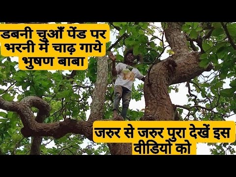 वीडियो: डबनी कोलमन नेट वर्थ