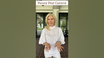 Get Rid of Flies with This Penny Trick!