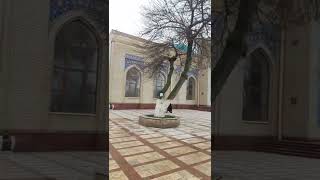 Узбекистан Мавзолей Зангиота | Священное место | Тик Ток #Shorts
