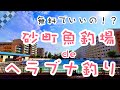 【公営釣り場deヘラブナ釣り】砂町魚釣場（東京都江東区）区営！無料！最高！
