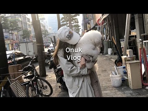 [日本語]오눅 브이로그. 연차내고 여권 재발급위해 한국 다녀온 일상. 진대감, 호랑이커피, 연희동 탐방 브이로그 feat. 털찐 거대 하키솜