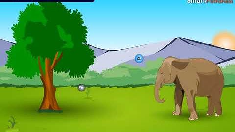 NCERT CBSE Class 9 Science Chapter 7 Diversity in Living Organisms Part 2