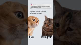 Instagram unsent message #meme