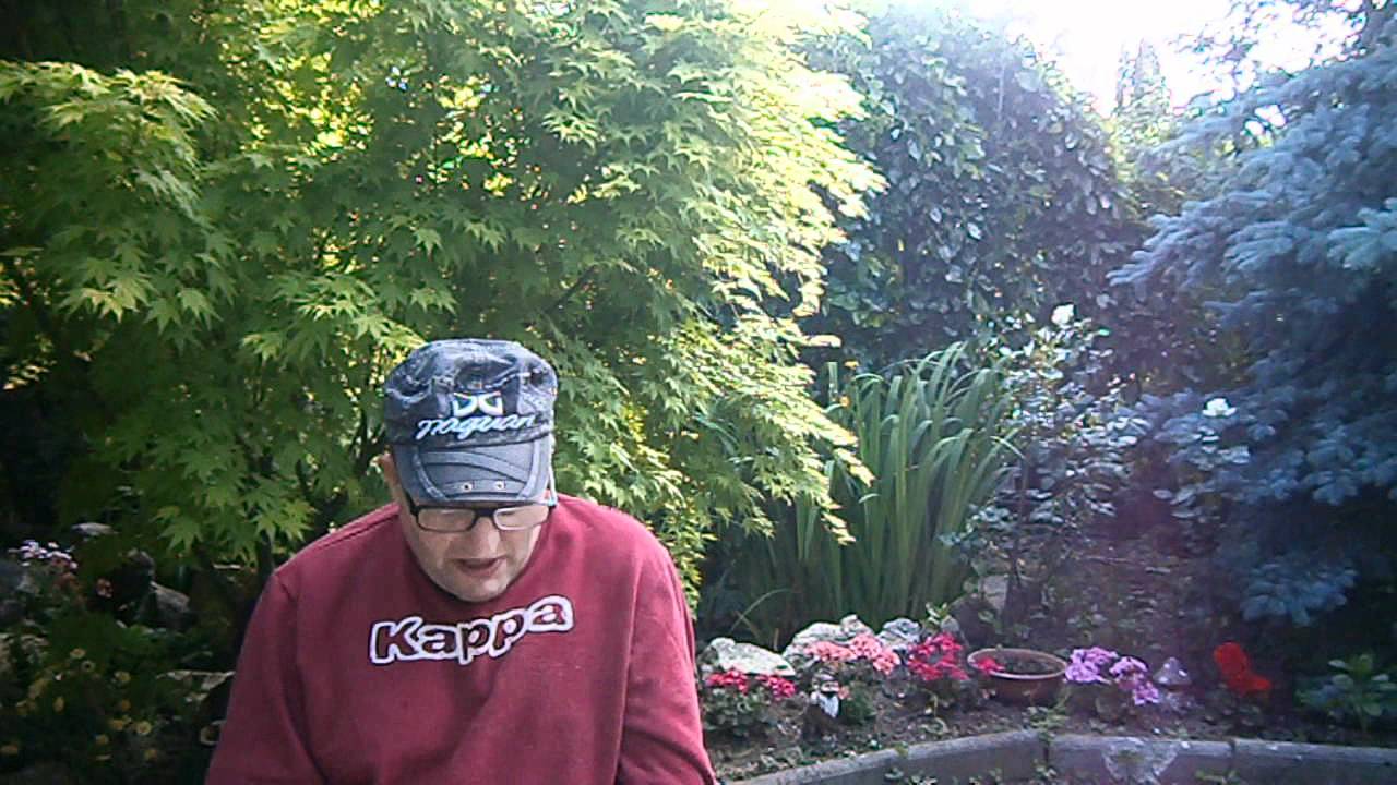 izlazak iz Yorkshirea samci
