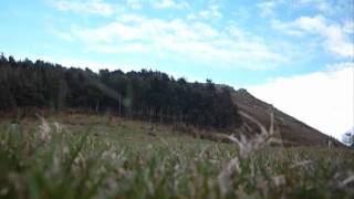 Tributo al monte Dobra