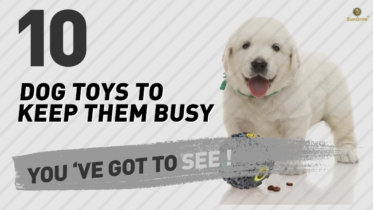 Dog Toys To Keep Them Busy // Pets Lovers Most Popular - YouTube | Dog Toys To Keep Them Busy
Dog Toys To Keep Them Busy // Pets Lovers Most Popular - YouTube | Dog Toys To Keep Them Busy