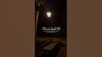 #القران_الكريم #تلاوة_هادئة  استمع للقرآن  🌸لا اله الا الله محمد رسول الله 🕋🎧