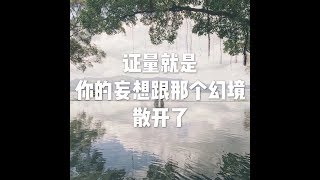 201605 证量就是你的妄想跟那个幻境散开了21041