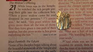 Luke 21:1-4 ❤️ Then a poor widow came by and dropped in two pennies.