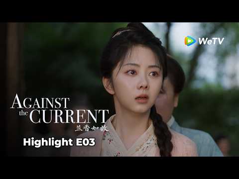#LiuXueyi #TanSongyun Her family falls into ruin, and she’s forced to become a maid?! 😱