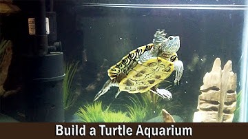 Turtle Aquarium Building and Setting Up Guide - DIY
