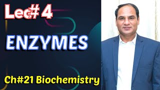 Ch21Lec4 Enzymes Enzymes Work Lock And Key Types Reversible Irreversible Inhibitions