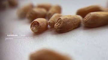 Modern Call-outs. After Effects Project on Videohive.net