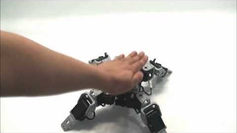 Gilbo & Robotis - Bioloid Premium Kit - Dört Yönlü Yürüyen Robot www.robotsepeti.com