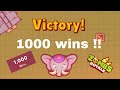 I finally got 1000 wins in zombsroyale