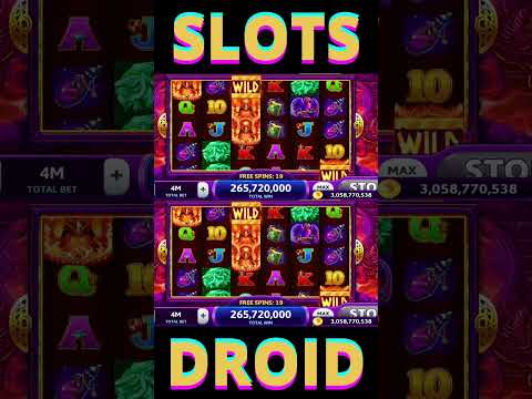 Big daddy || Deltin JAQK ||Casino Pride ||Majestic casino||#goa #bigdaddycasino #deltinroyal