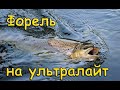 Ловля форели | Ультралайт осенью | Рыболовная база Щарка