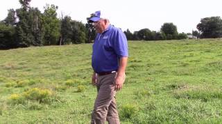 Dr. JD Green, Weed Control in Pastures