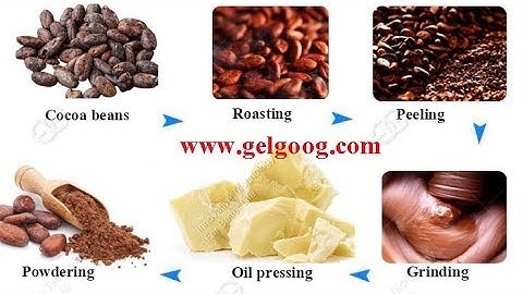 GELGOOG® Cocoa Powder Processing Machine|Small Cacao Powder Manufacturing Video @gelgoog.com