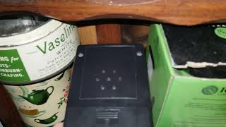 People Cooker/Burner frequency Attack in the livingroom from no14 nextdoor(19.25) 7th September 2024