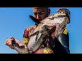 A Great Fish From The Deep Blue Sea |Spearfishing Life 🇬🇷
