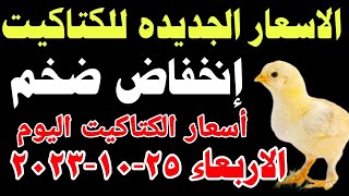 اسعار الكتاكيت البيضاء اليوم/ سعر الكتكوت الأبيض اليوم الاربعاء 25-10-2023 في مصر