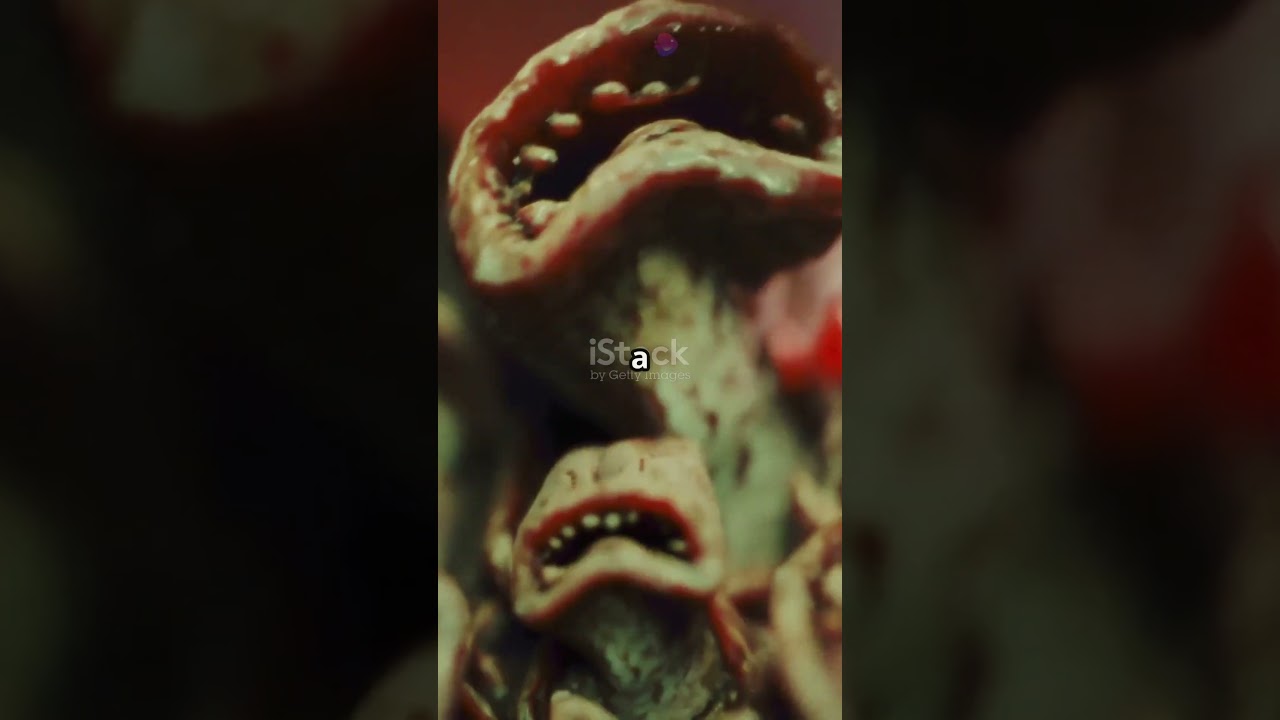 The Venomous Mystery of the Solenodon!