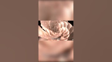 Organic Living Systems | Yan Paul Dubbelman | Houdini Connect #houdini #animation #digitalart