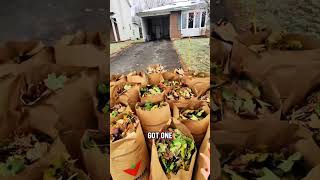 19 Bags? Thats Crazy