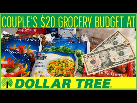 $20 Dollar Tree Grocery Budget for 2 | Couple's Extreme Budget Meal Plan | Emergency Grocery Haul