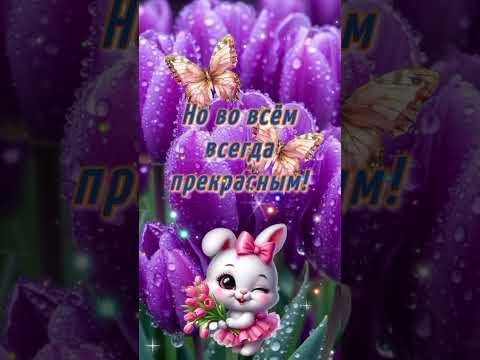 Доброе утро! 💜 #доброеутро #видеооткрытка #доброгоутра #открытка #доброгодня #открытки