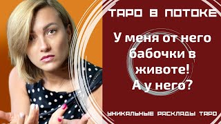 У меня от него бабочки в животе! А у него? Каковы его чувства?