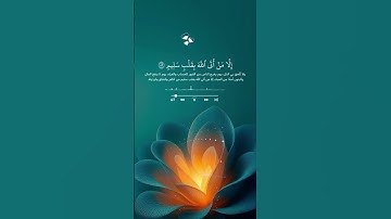 #تلاوة_هادئة #اكسبلور #لايك #تيك_توك #حالاتواتس #صباح_الخير #دويتو #راحه_نفسيه #duet #حالات_واتس