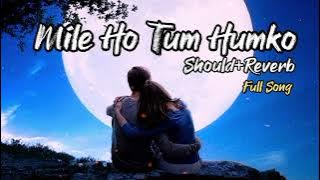 💔Mile Ho Tum Humko💞[Slowed Reverb] Lofi Mix Song | 😥Sad Song | Tony Kakkar