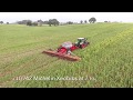 Horsch Avatar  Zerotill Bean Drilling 2019