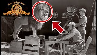 ¿Cómo se llama el león dela Metro Goldwyn Mayer?
