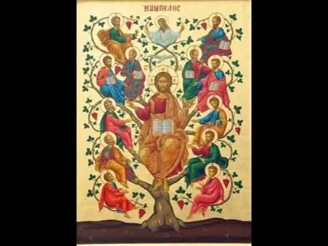 Symbols are the language of Christ: The Vine and Tree #christianshorts #symbolism