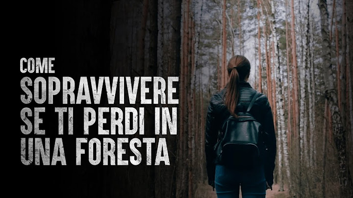 Come sopravvivere se ti perdi in una foresta