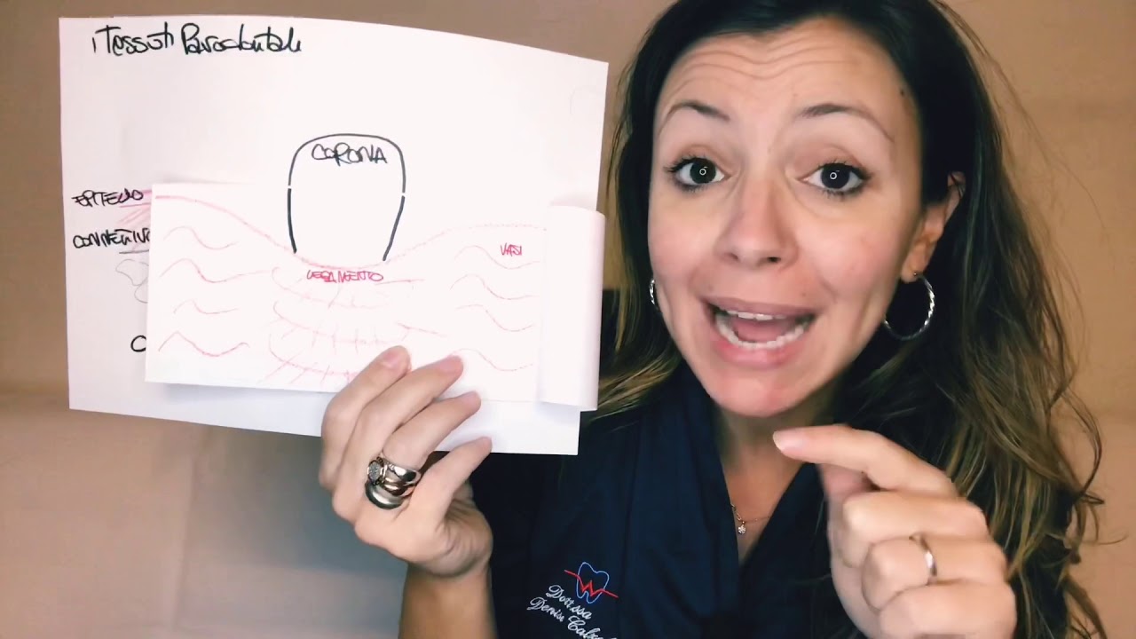 La Gengiva 1/6: Anatomia della gengiva