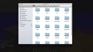 Minecraft 1.6 New Command and Effect!